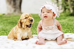 Toddler and dog